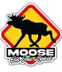 Dekal Moose on the loose